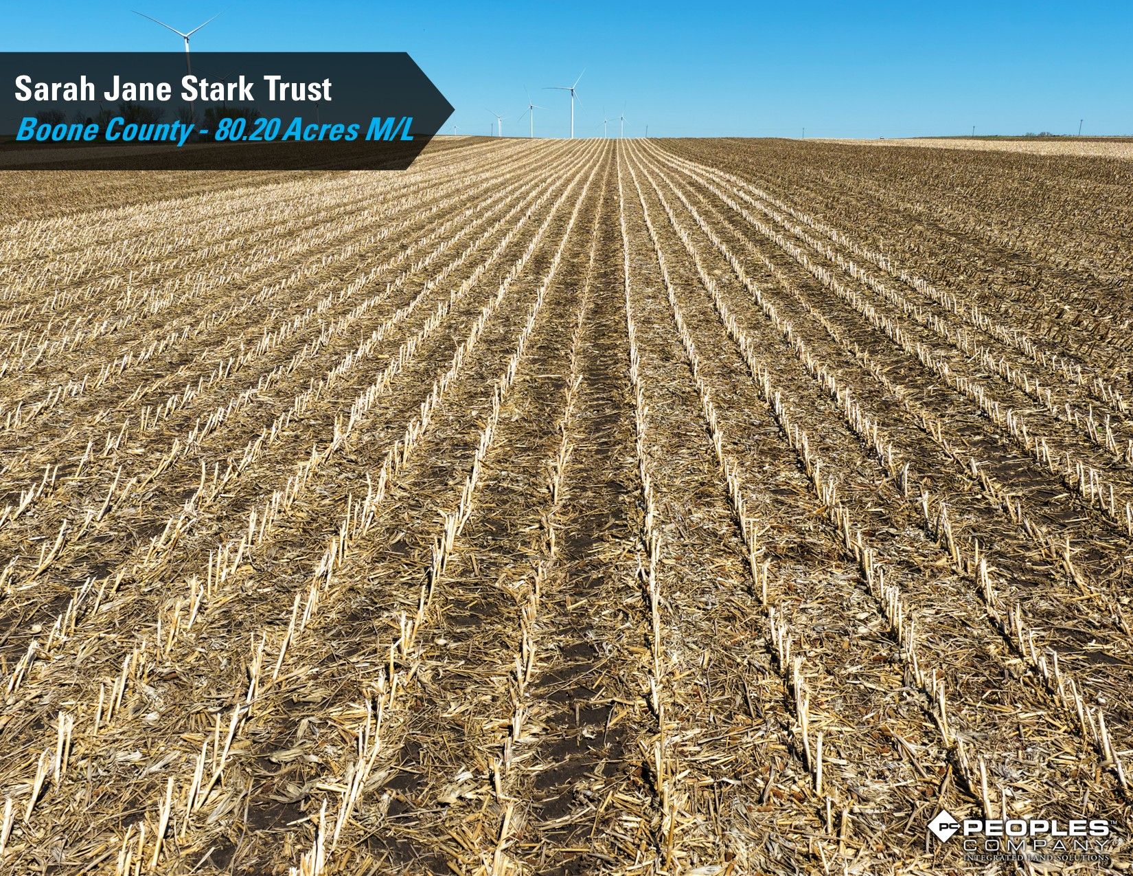 Listing Photo: Boone-County-Iowa-Farmland-Auction-80.20-Acres-Stark-Trust-Ogden (6)
